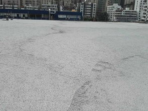 深圳熱銷混凝土 輕質混凝土價格